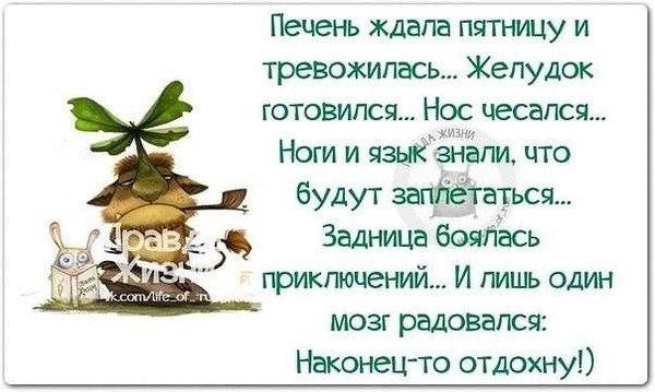 Афоризмы прикольные высказывания про пятницу