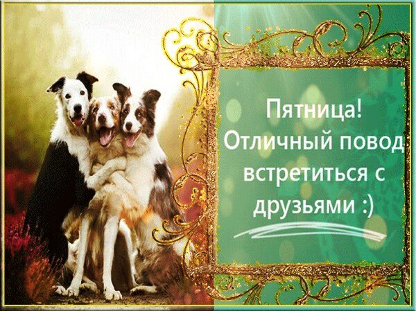 С пятницей друзья