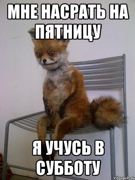 Я В субботу Мем