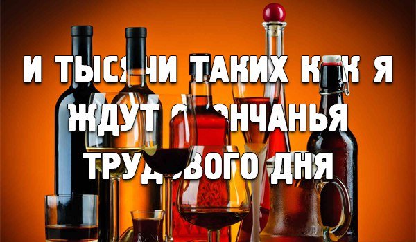 Алкопятница картинки