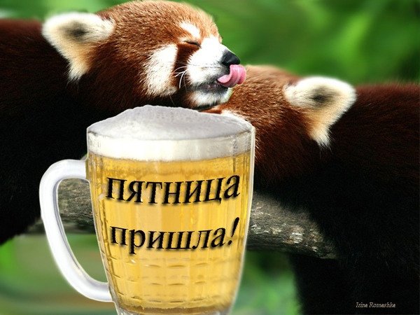 Ура пятница пришла