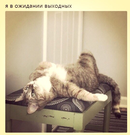 Ленивые выходные