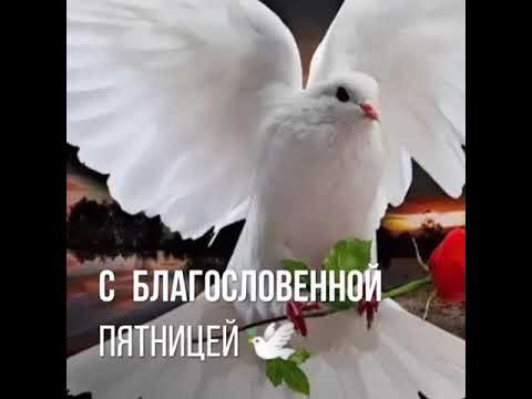 С благословенной пятницей