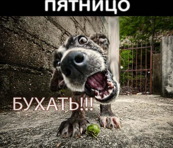Ура Пятниццо