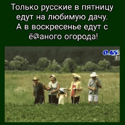 В пятницу на любимую дачу в воскресенье
