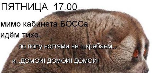 Пятница пора домой