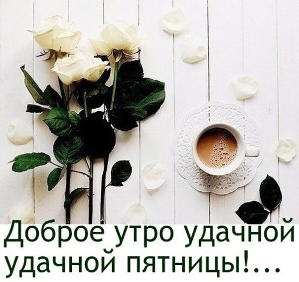 Утро пятницы