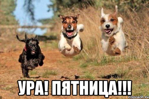 Мем наконец то пятница