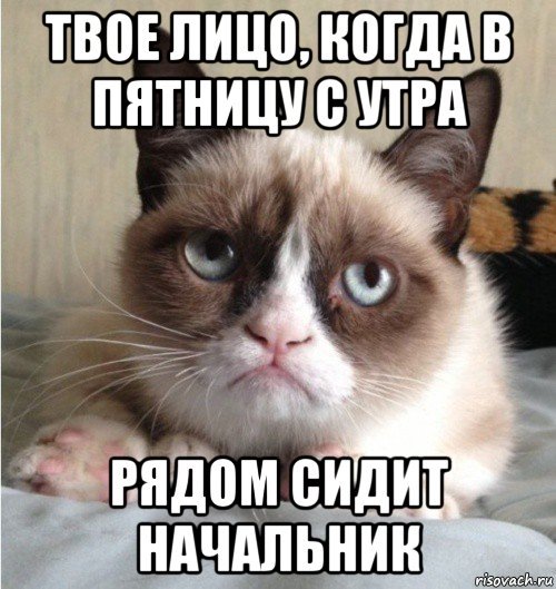 Пятница Мем
