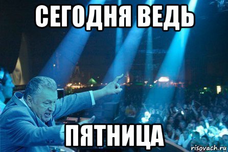 Мемы пятничные котики