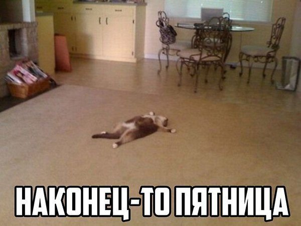 Наконец пятница