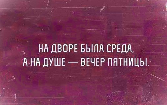 Цитаты про среду