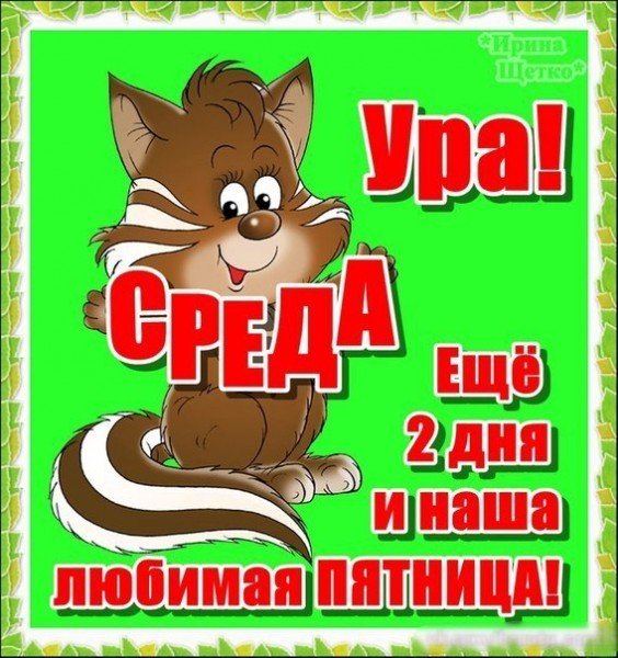 Цитаты про среду смешные