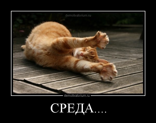 Среда мотиваторы