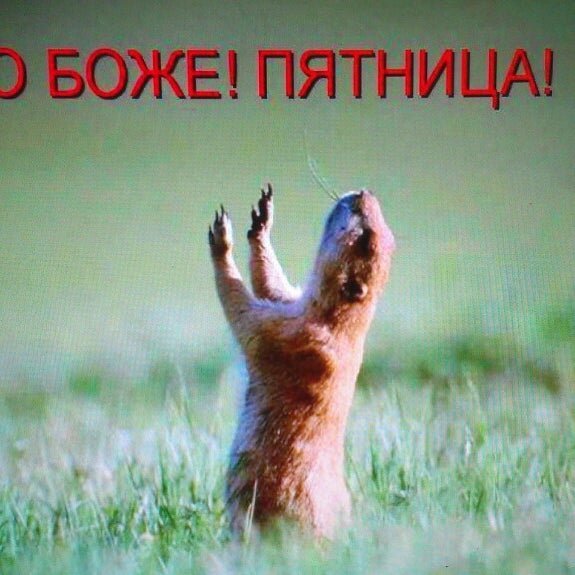 С пятницей подруга