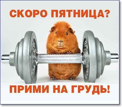 План на неделю ждать пятницу