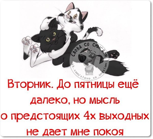 Вторник пятница