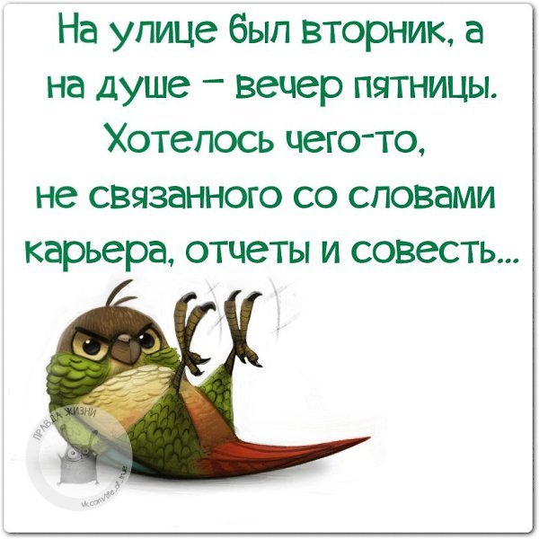 Шутки про вторник