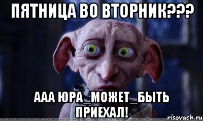 Добби свободен пятница