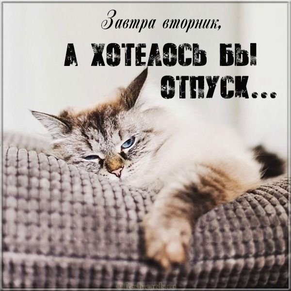 Завтра вторник