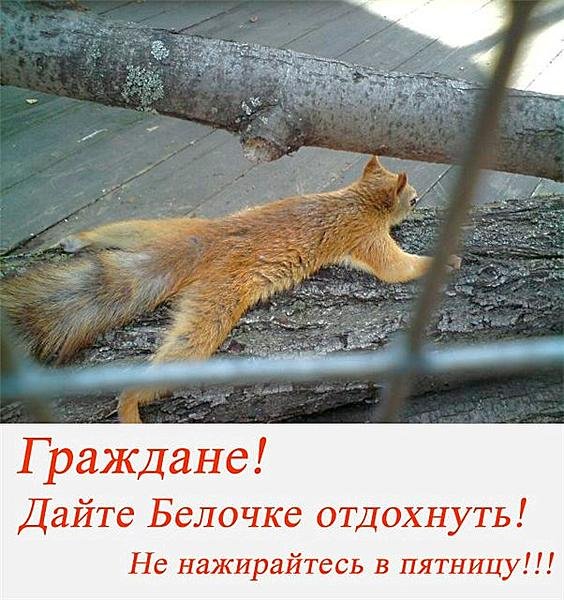 Лежит на кровати смешно