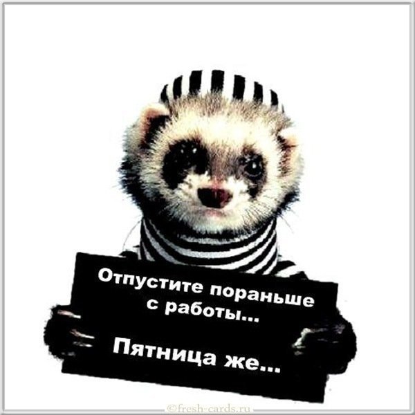 Шутки про четверг в картинках