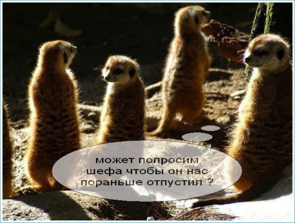 Пятница короткий день