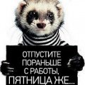 Отпустите пораньше