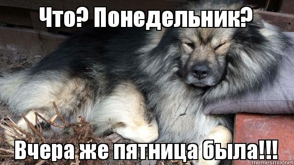 Хорошего дня пятницы