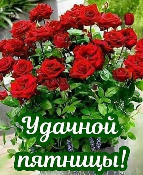 Хороший пятеицы с розами