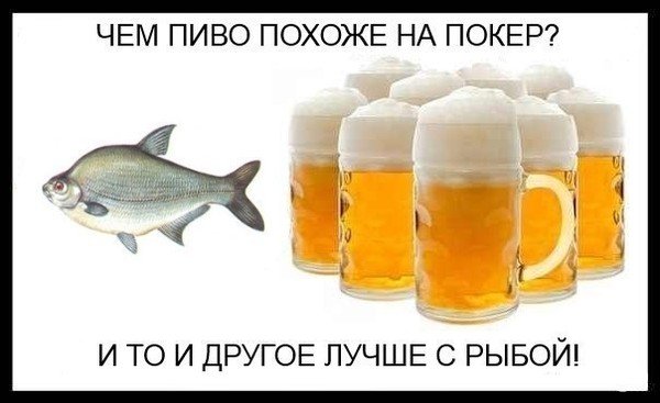 Гиф пиво с рыбой