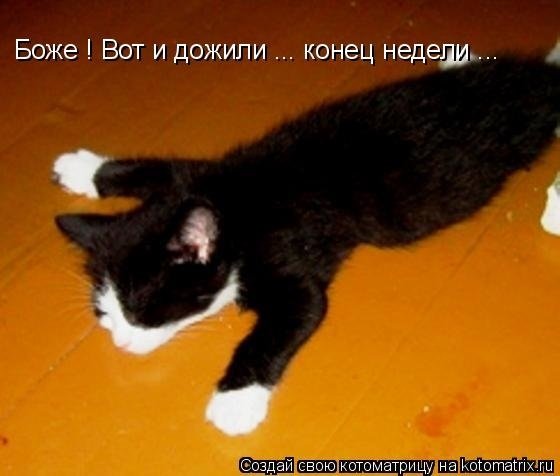 Ура конец рабочей недели