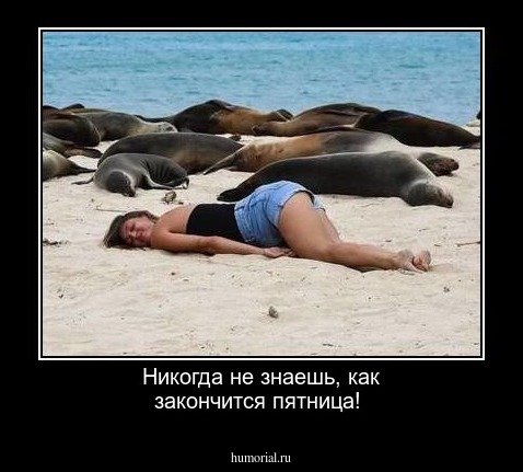 Женщина в пятницу юмор