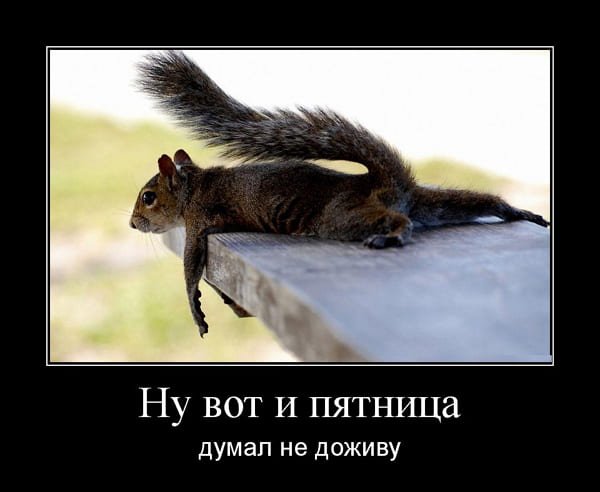 Пятница демотиваторы