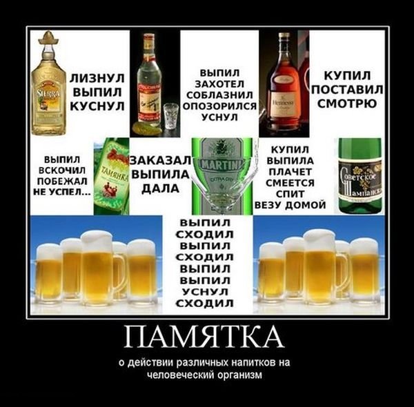 Приколы про алкоголь