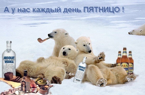 Водка белый медведь