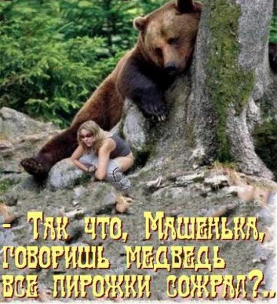 Надпись медведь