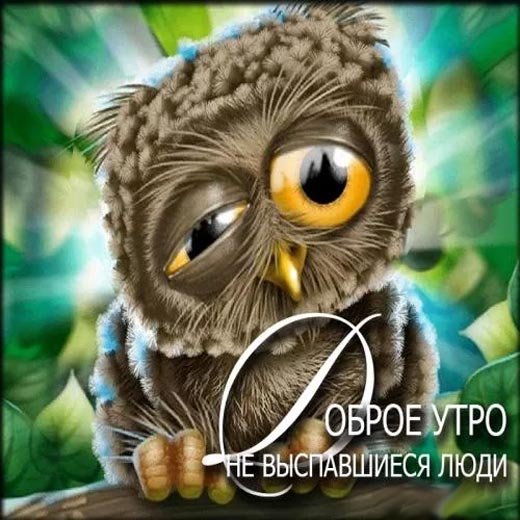 Доброе утро Сова