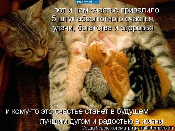 Вот счастье привалило