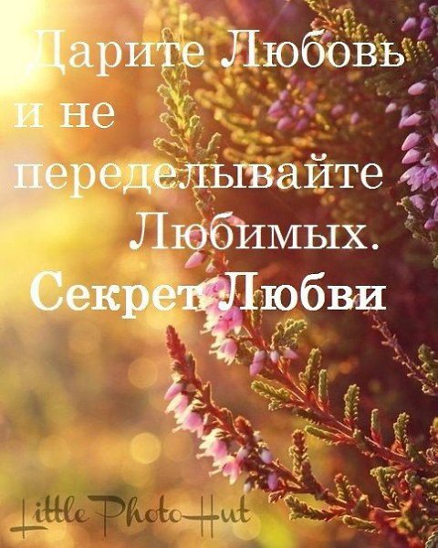 Высказывание о секрете семейного счастья