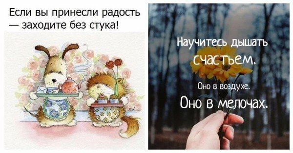 Если вы принесли радость