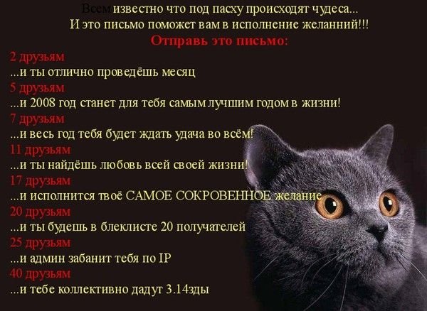 Письмо счастья