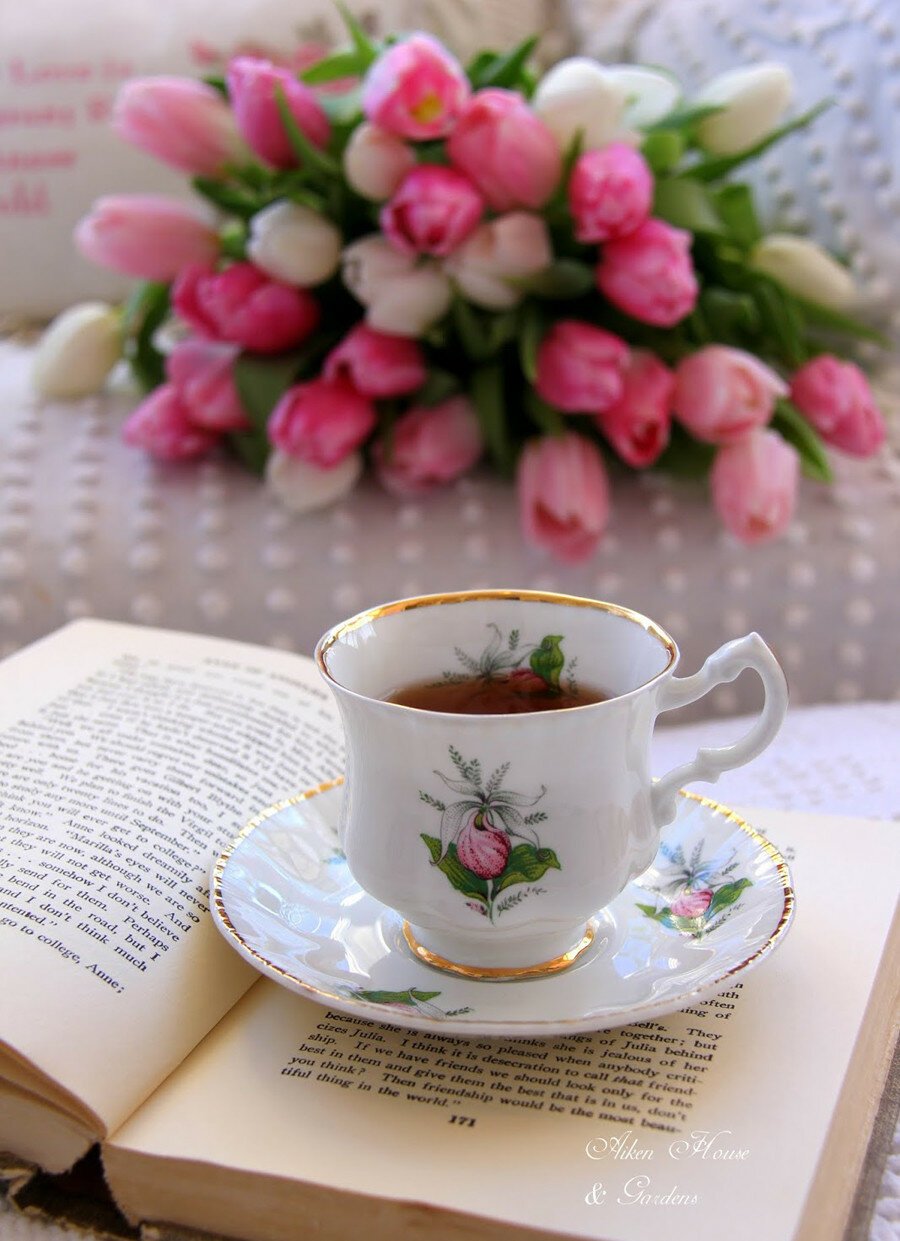 Книги цветы чай