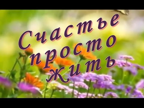 Счастье просто жить