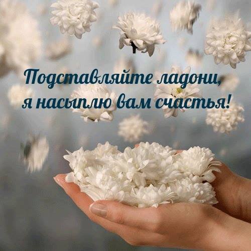 Подставляйте ладони я насыплю вам