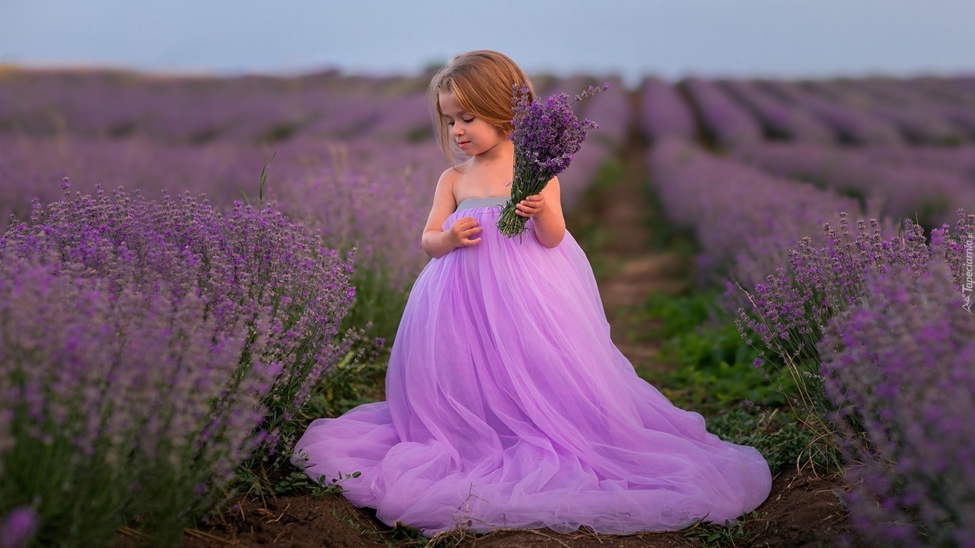 Девушка фиалки. Девушка в фиолетовом платье. Девушка в фиолетовом. Сиреневое платье.