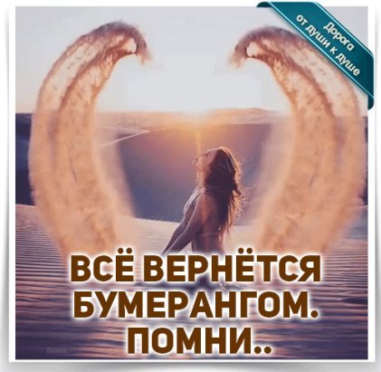 Жизнь Бумеранг