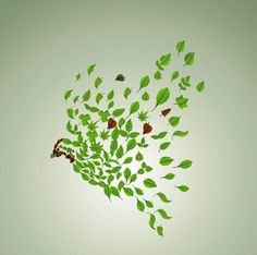 Листик для счастья еще рисуют