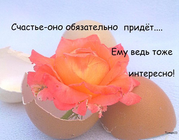 Счастье придет