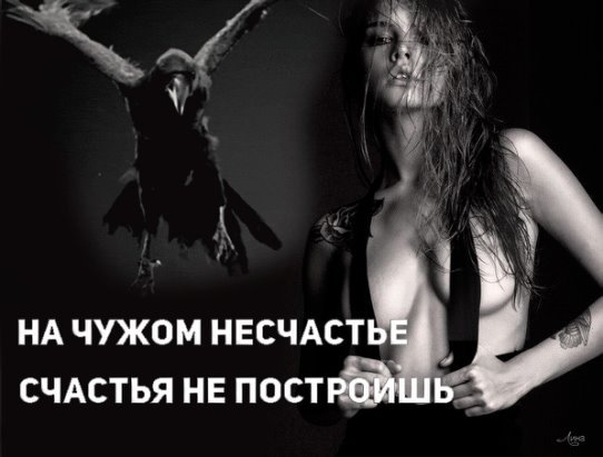 На чужом несчастье счастья